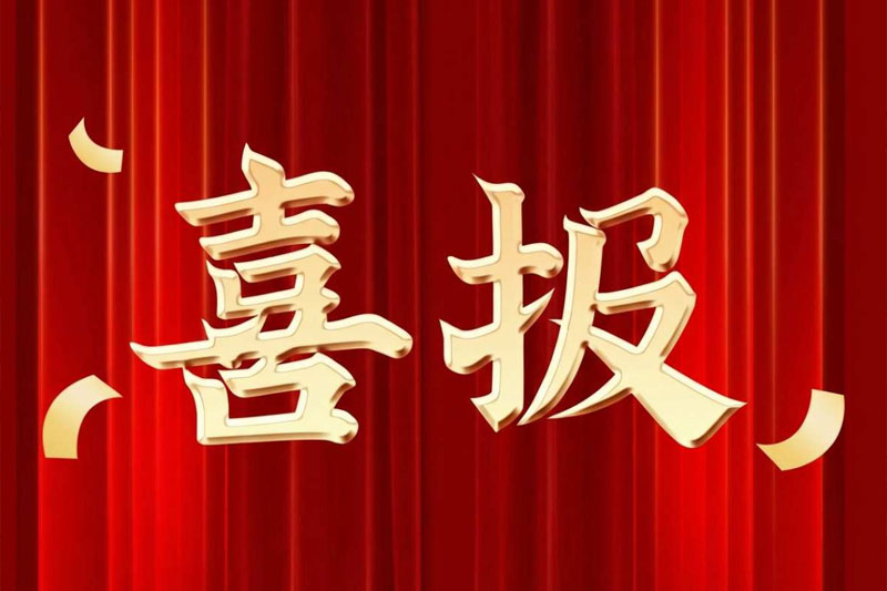 喜报丨宁波鸿达宋红杰董事长荣膺“2025年度电器工业创新人物 ”